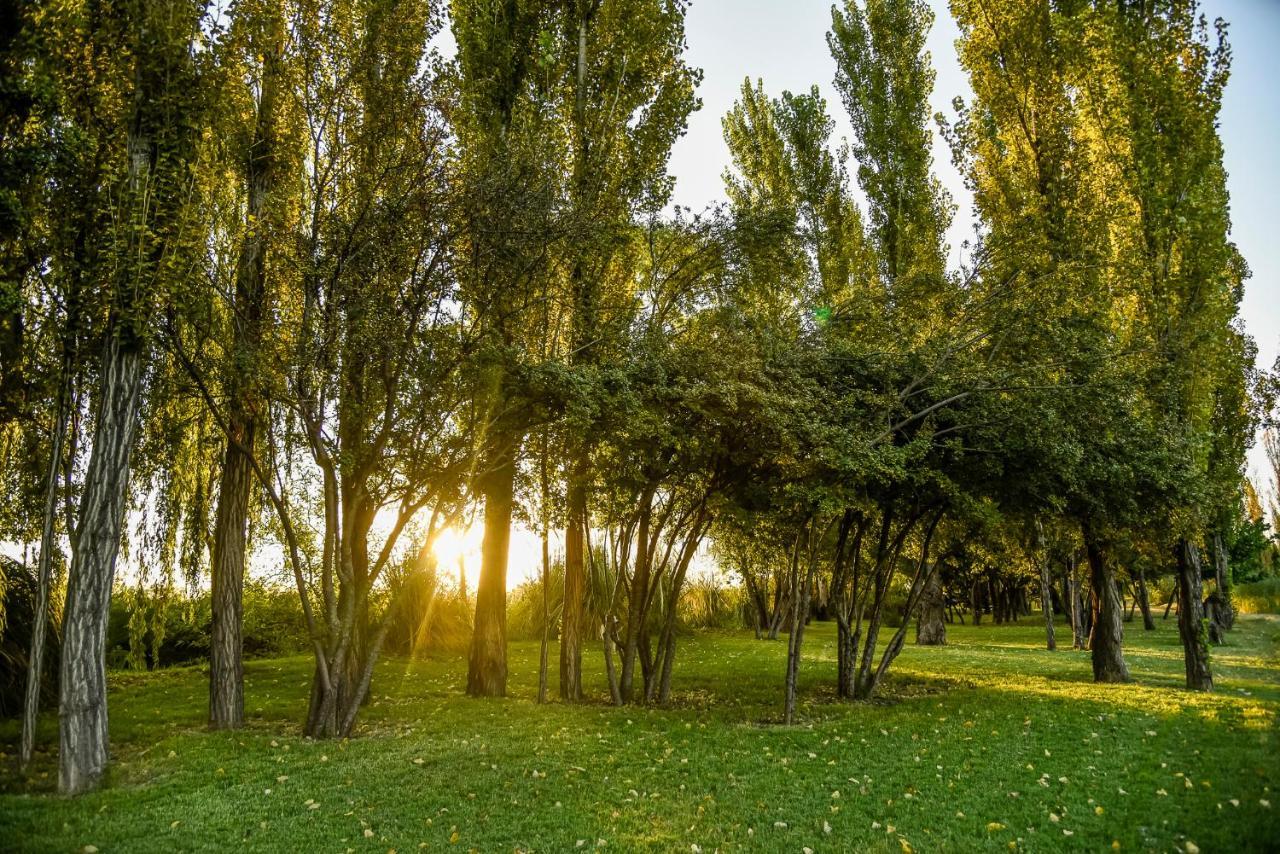 La Escondida San Rafael (Mendoza)