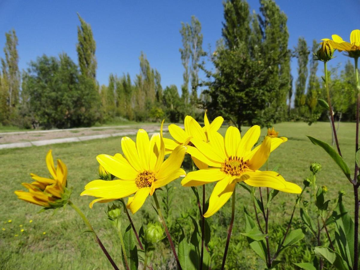 La Escondida San Rafael (Mendoza)